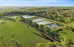 409 Webbs Road, Abington, Qld 4660