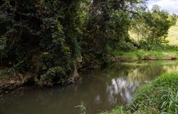 37 Simpsons Road, Cootharaba, Qld 4565