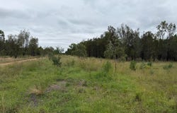 Ducklo, Qld 4405