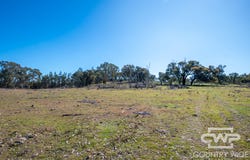 16, 18, - Emmaville Rd, Emmaville, NSW 2371