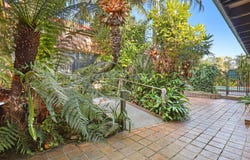 41 Ellengowan Crescent, Fairy Meadow, NSW 2519