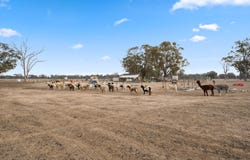 424 Arcadia Two Chain Road, Arcadia South, Vic 3631