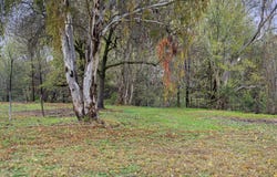 449 Kremur Street, West Albury, NSW 2640