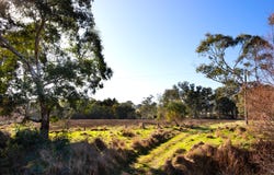 67 Wilsons Lane, Clydesdale, Vic 3461