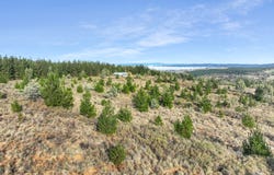 3653 Arkstone Road, Burraga, NSW 2795