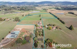 242 East Minstone Road, Scottsdale, Tas 7260