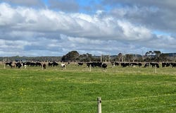 129 Bens Hill Road, Montagu, Tas 7330