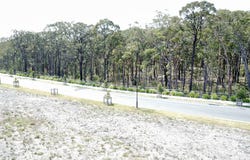 Lot 1101, Jesmond Way, Edgeworth, NSW 2285