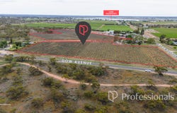 Lots 2 & 3 Dow Avenue, Cabarita, Vic 3505