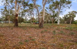 Lot 3 Marana Drive, Bakers Beach, Tas 7307