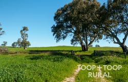 Cemetery Road, Taunton, SA 5235
