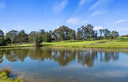 37 Hilltop Road, Tennyson, NSW 2754