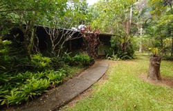 7 White Beech Road, COW BAY, Daintree, Qld 4873
