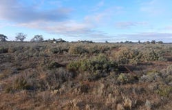 Lot 39, Canal Road, Renmark, SA 5341