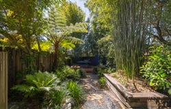 1 Albert Street, Forest Lodge, NSW 2037