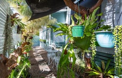 55/5th Avenue Hearnes Lake Road, Woolgoolga, NSW 2456