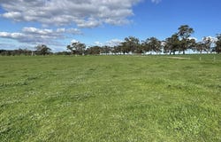 A21 Sunnydale Road, Strathalbyn, SA 5255