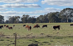 440 Mackenzies Road, Edenhope, Vic 3318
