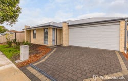 42A Ashburton Street, Bentley, WA 6102