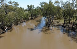 8041 Kilcummin-Diamond Downs Road, Pasha, Qld 4721