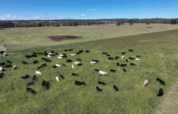 Palgrove, 555 Palgrave Road, Dalveen, Qld 4374