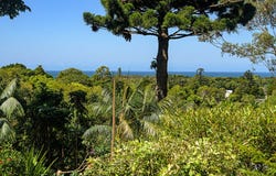 9 Goolara Court, Ocean Shores, NSW 2483