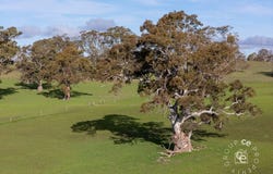 132, Moss Smith Road, Eden Valley, SA 5235