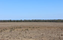 Blackwater Rolleston Road, Rolleston, Qld 4702