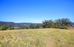 461 Upper Kangaroo River Road, Upper Kangaroo River, NSW 2577