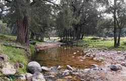 811 Majors Creek Mountain Road, Araluen, Araluen, NSW 2622