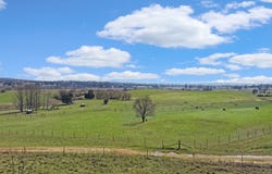 226 Gormans Hill Road, Gormans Hill, NSW 2795