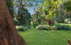 90 Banyandah Street, South Durras, NSW 2536