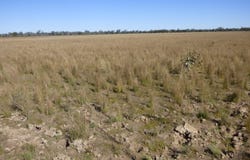9479 Balonne Highway, Cunnamulla, Qld 4490