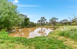 50 Langley Road, Cranbourne South, Vic 3977