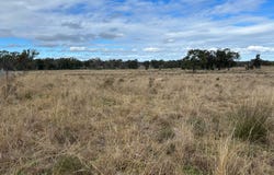 2939 Mosquito Creek Road, Mosquito Creek, Qld 4387