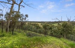 125 Emu Flat Road, Emu Flat, SA 5453