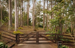 19 Repton Street, Pullenvale, Qld 4069