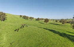 686 Killingworth Road, Killingworth, Vic 3717