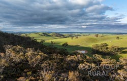 1705 Ngapala Road, Ngapala, SA 5374