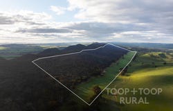 1705 Ngapala Road, Ngapala, SA 5374