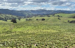 1294 Red Hill Road, Upper Turon, NSW 2795