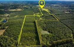 356 Alphadale Road, Lindendale, NSW 2480