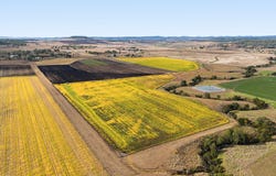 2, 34 & 35, Hillside Road, Allora, Qld 4362