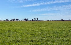 279 Hotchkiss Road, Baradine, NSW 2396