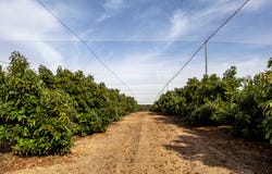 1804 Bull Creek Road, Ashbourne, SA 5157