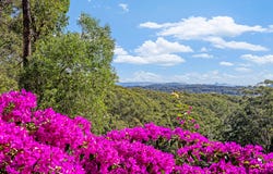 705 Ilkley Road, Tanawha, Qld 4556