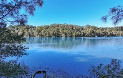 281 The Round Drive, Avoca Beach, NSW 2251