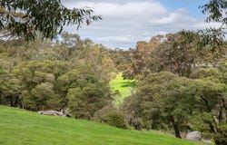 152 Kevill Road, Margaret River, WA 6285