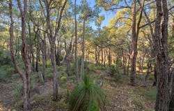 36 Johnston Street, Mount Helena, WA 6082