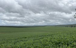 1556 Old Lawrence Road, Deep Creek, NSW 2469